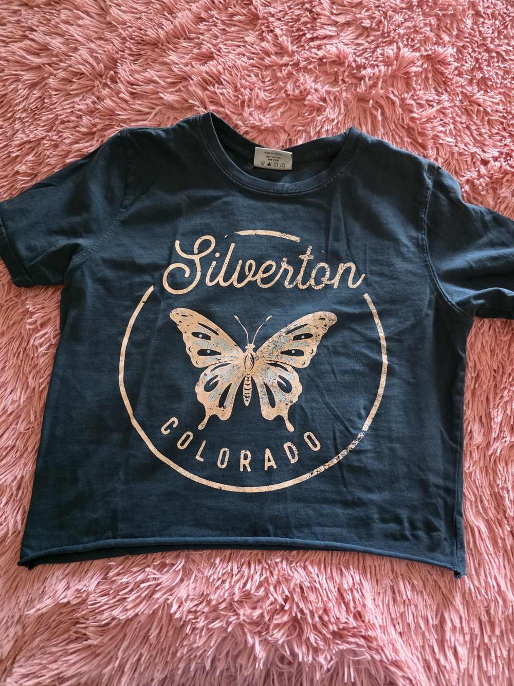 Silverton Colorado Navy Graphic Womens T Shirt Y2K